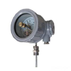 WSSX-B隔爆雙金屬(shu)溫度計