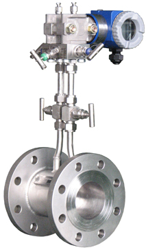 ZY-LG 一體化孔(kong)闆流量計