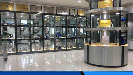 江蘇中儀儀表(biao)集團有限公司(si)